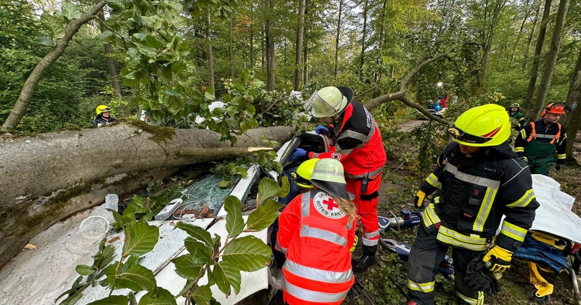 THL-Workshop-2023_Titelbild